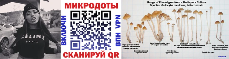 Псилоцибиновые грибы Psilocybine cubensis  Чухлома 